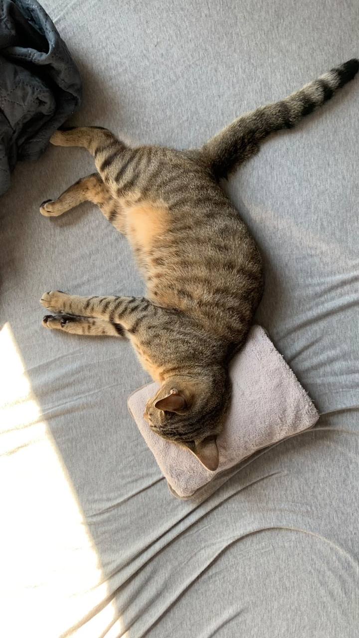 Whisper — изображение 2